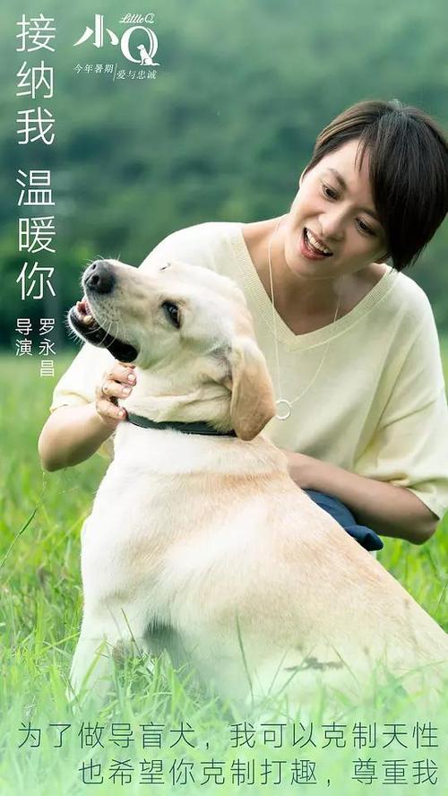 买个假的女王大学文凭毕业证